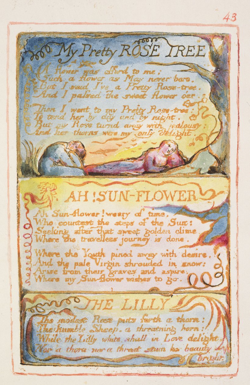 P.125-1950.pt43 شجرة بريتي الجميلة ؛ آه! دوار الشمس؛ The Lilly: اللوحة 43 من أغاني البراءة والخبرة (نسخة AA) c.1815-26 (النقش والحبر والمرحاض) بواسطة وليام بليك