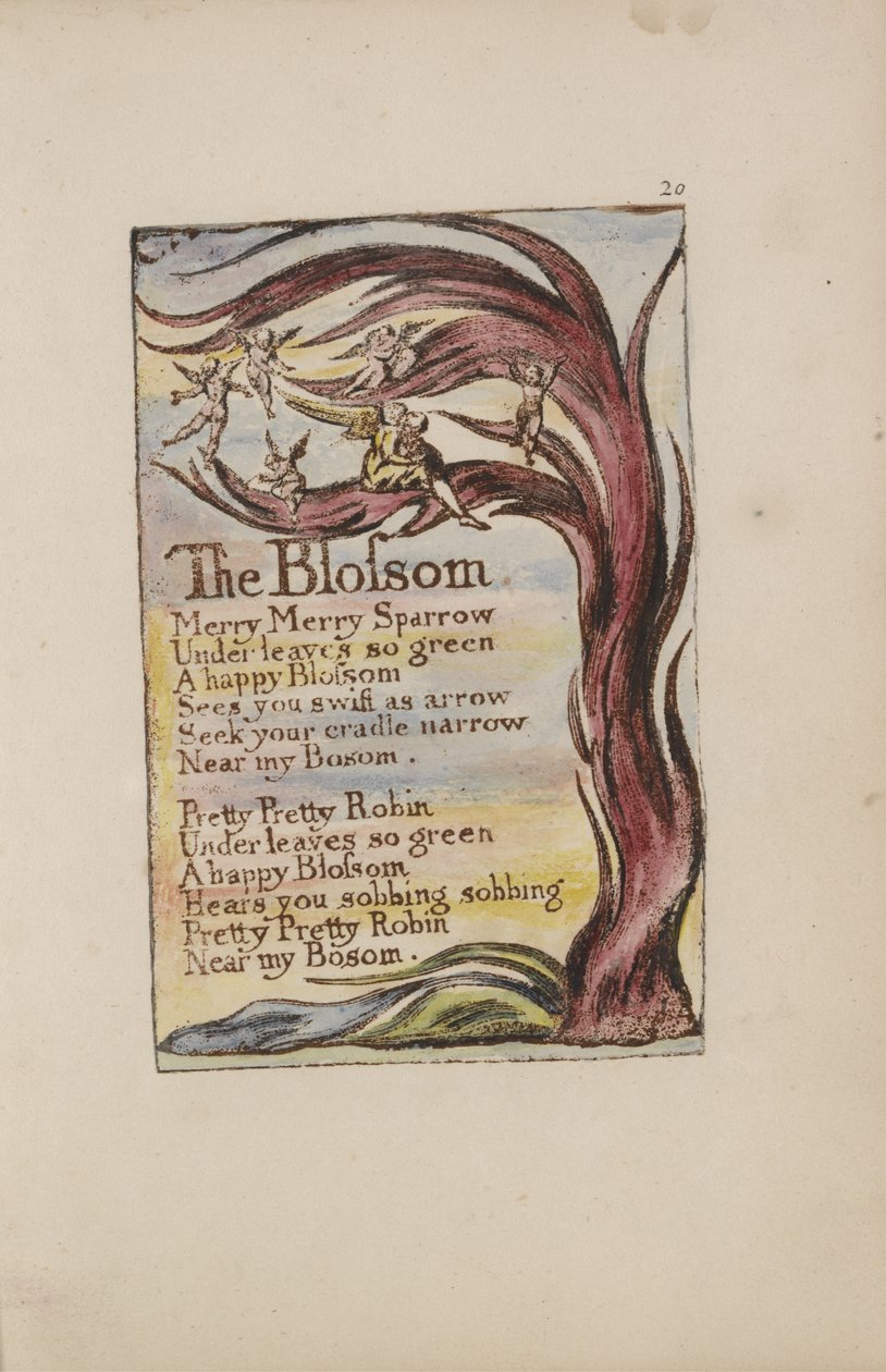 The Blossom ، اللوحة 28 من Songs of Innocence ، 1789 (نقش بارز يدويًا مع مرحاض على ورق) بواسطة وليام بليك