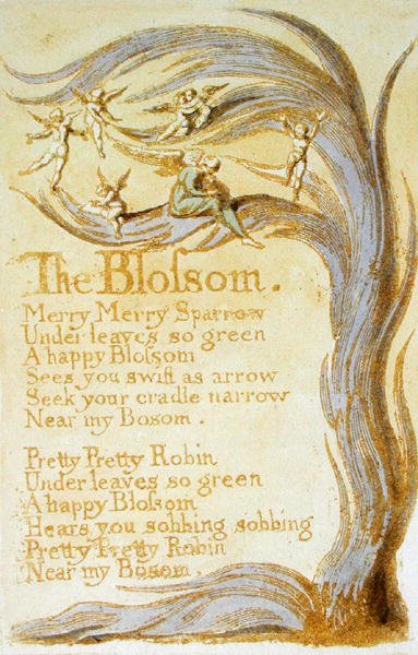 The Blossom ، اللوحة 9 من أغاني البراءة ، 1789 (نقش بارز مع مرحاض على ورق) بواسطة وليام بليك