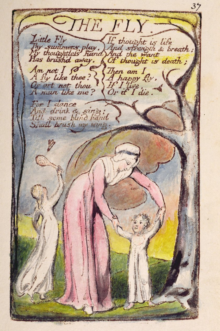 "الذبابة" ، اللوحة 37 من "أغاني البراءة والخبرة" [Bentley 40] c.1789-94 (نقش بارز مطبوع باللون البني الداكن مع قلم وحبر ومرحاض) بواسطة وليام بليك