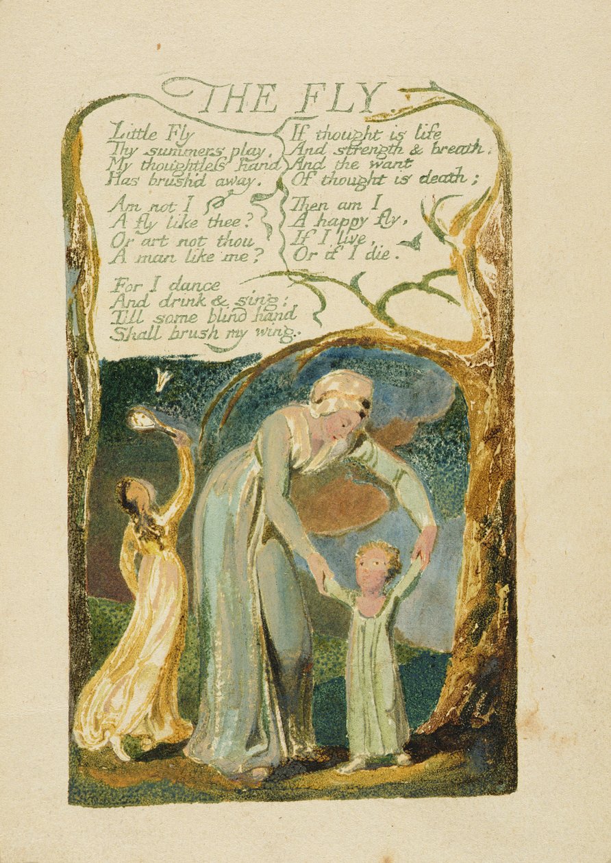 The Fly ، اللوحة 47 من "Songs of Experience" ، 1794 (نقش بارز بالألوان المائية) بواسطة وليام بليك