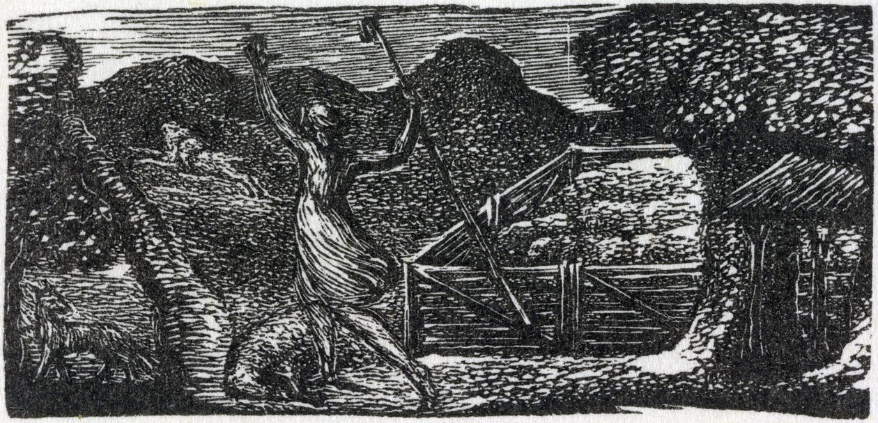 الراعي الصالح يطارد الذئب ، رسم توضيحي من كتاب "رعاة فيرجيل" للدكتور ثورنتون بواسطة وليام بليك