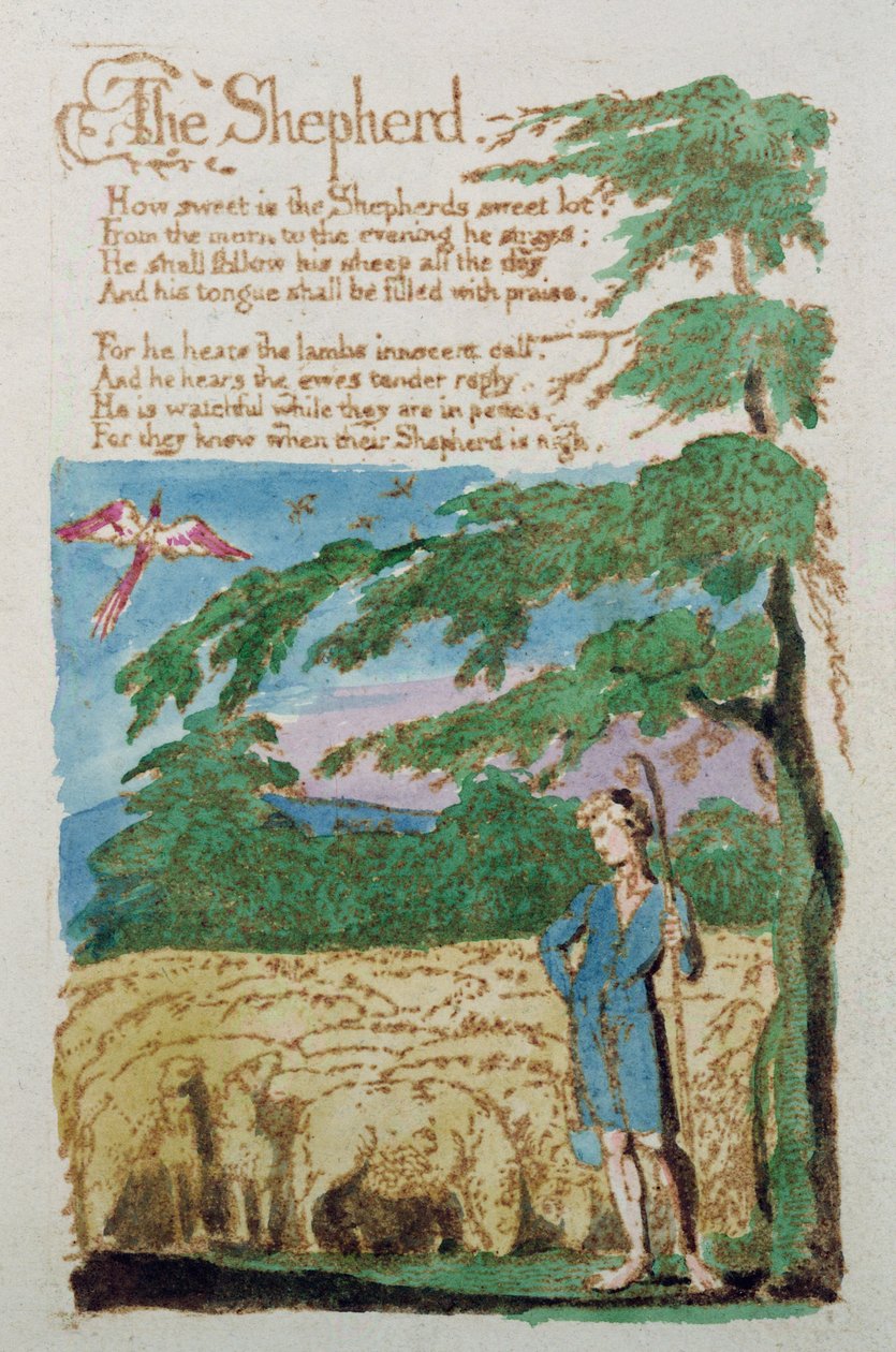 الراعي ، من أغاني البراءة ، 1789 (النقش الملون) بواسطة وليام بليك