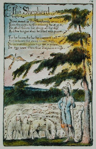الراعي ، رسم توضيحي من أغاني البراءة والخبرة ، (Bentley Copy L) pl.14 (Bentley 5) 1789-94 (النقش البارز بالقلم والحمام على الورق) بواسطة وليام بليك