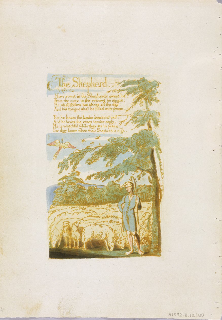 "الراعي" ، اللوحة 15 من "أغاني البراءة" ، 1789 (نقش بارز مع مرحاض على ورق) بواسطة وليام بليك