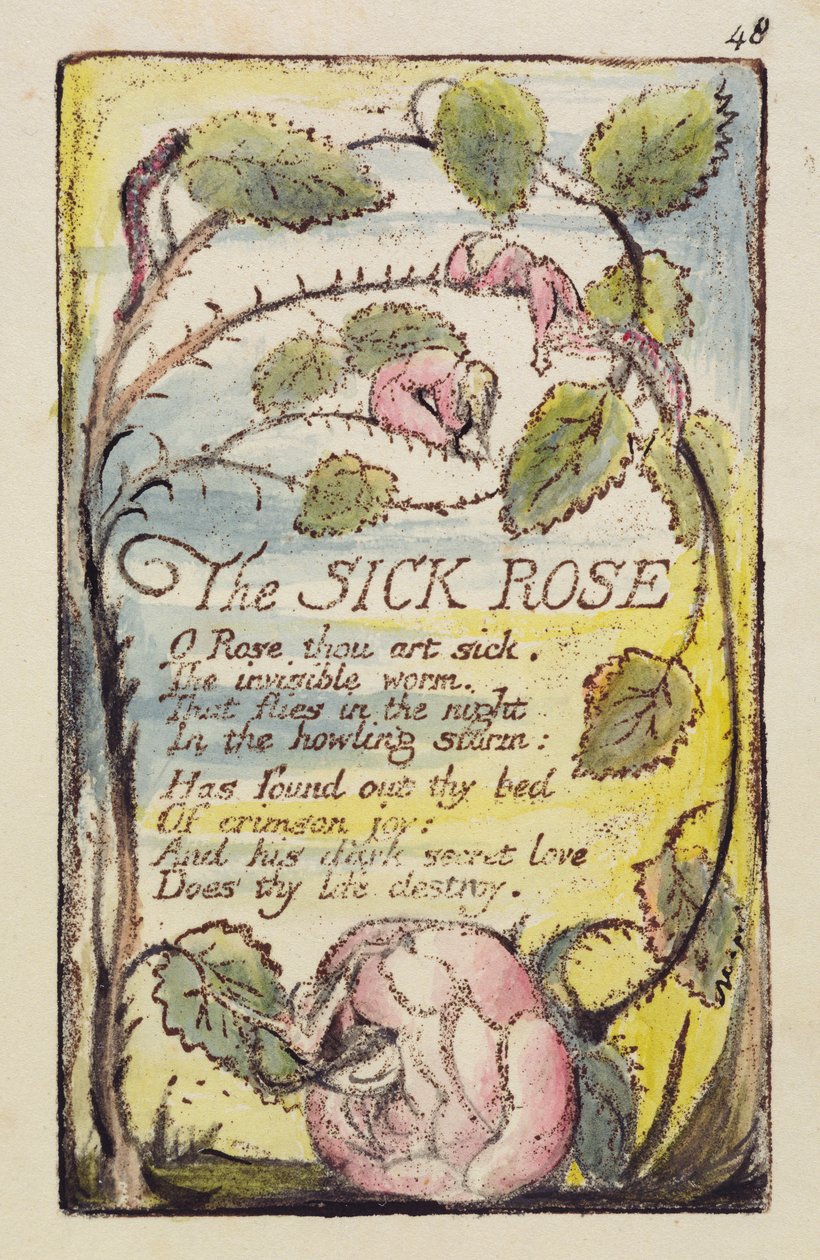 "The Sick Rose" ، اللوحة 48 من "Songs of Innocence and of Experience" [Bentley 39] c.1789-94 (النقش البارز باللون البني الداكن مع القلم والحبر والمرحاض) بواسطة وليام بليك