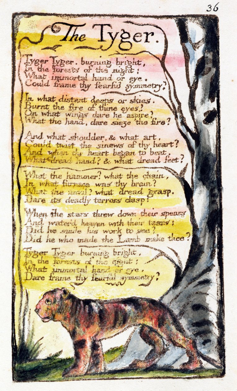 The Tyger ، اللوحة 36 (Bentley 42) من "Songs of Innocence and of Experience" (Bentley Copy L) 1789-94 (النقش البارز بالقلم ومرحاض) بواسطة وليام بليك