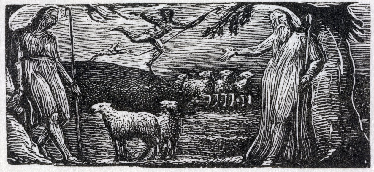 ثينوت يتظاهر مع Colinet ، Lightfoot في المسافة ، التوضيح من دكتور ثورنتون &39;The Pastorals of Virgil&39; بواسطة وليام بليك