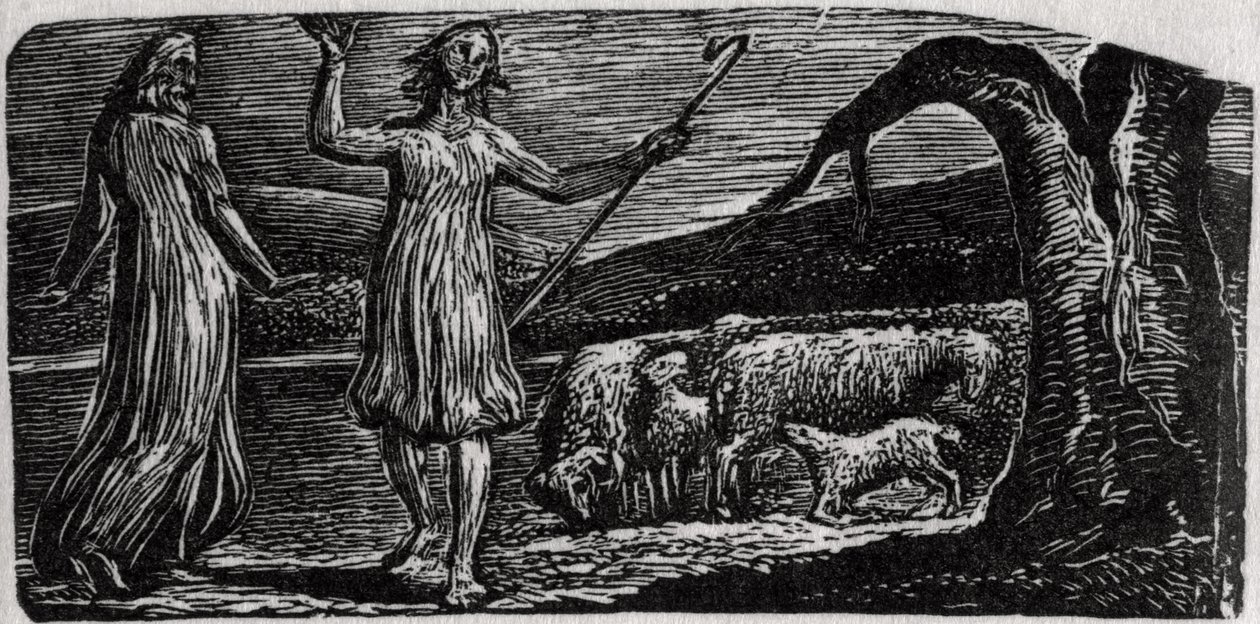 ثينوت ، مع Colinet يلوح بذراعيه في الحزن ، التوضيح من دكتور ثورنتون &39;The Pastorals of Virgil&39; بواسطة وليام بليك