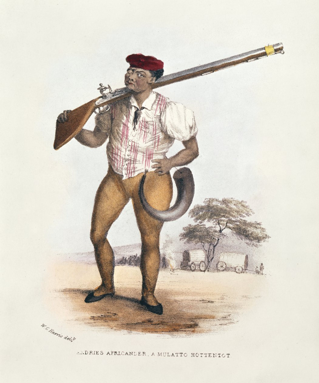 أندريس أفريكاندر ، مولاتو هوتنتوت ، صورة توضيحية من Wild Sports of South Africa ، بقلم WC Harris ، 1841 بواسطة وليام كورنواليس هاريس