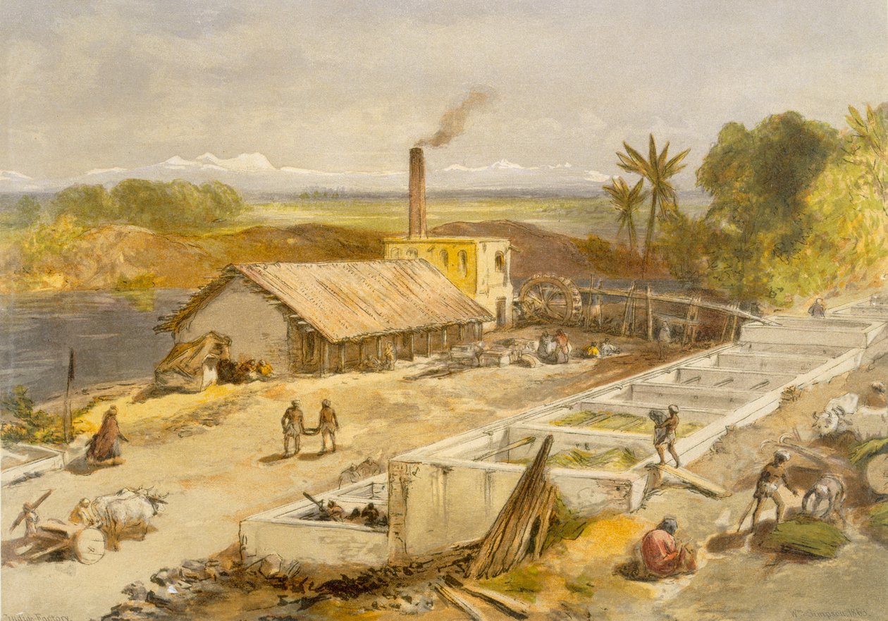 مصنع إنديجو - البنغال ، من الهند القديمة والحديثة ، 1867 بواسطة وليام كريميا سيمبسون