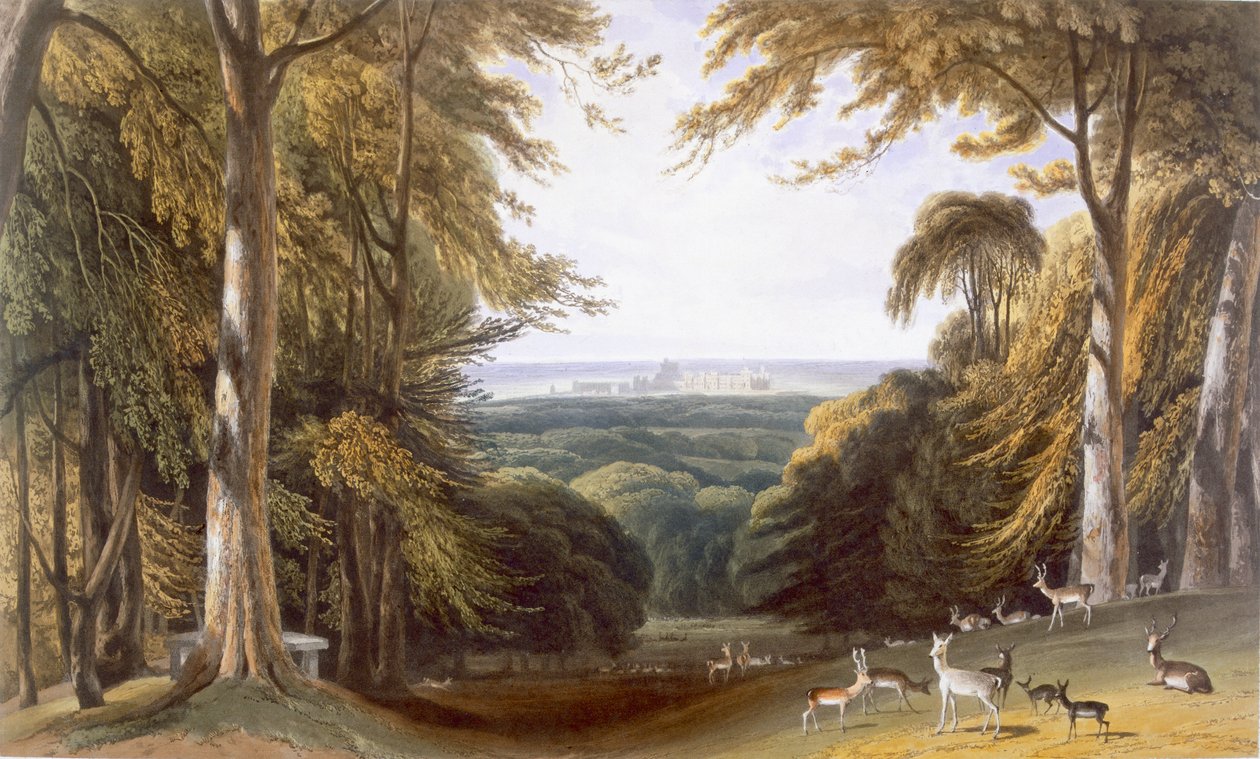 Glen in Windsor Park بالقرب من Bishops Gate ، من "Views of Windsor، Eton and Virginia Water" ، c.1827-30 بواسطة وليام دانييل