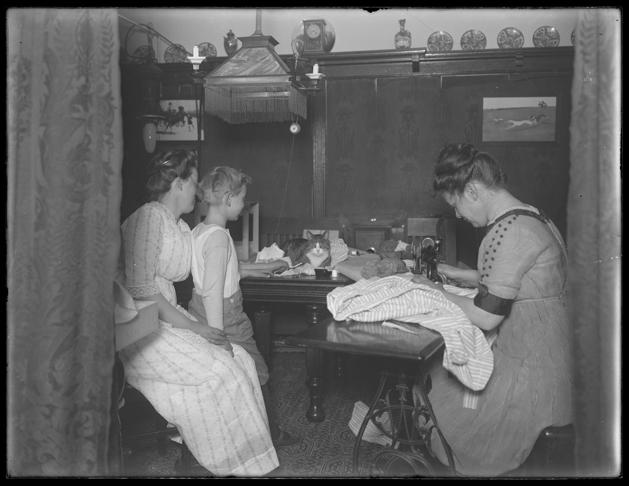 Ethel Gray Magaw Hassler و William Gray Hassler (ولد صغير) و Harriet E. Hassler (تشغيل ماكينة الخياطة) و Reddy (قطة) في منطقة تناول الطعام في 150 Vermilyea Avenue، Apartment 44، New York City، c.19 بواسطة وليام ديفيس هاسلر