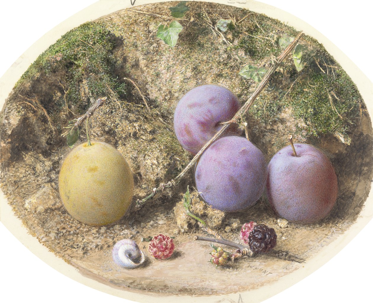 البرقوق والتوت ، 1860 (مرحاض فوق الجرافيت على البطاقة) بواسطة وليام هنري هنت