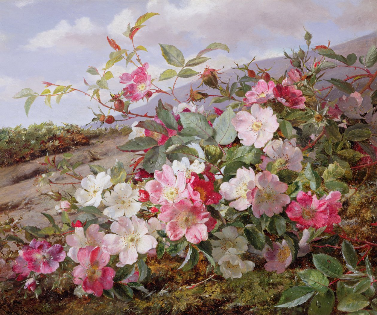 Eglantine ، 1883 بواسطة وليام جابيز موكلي
