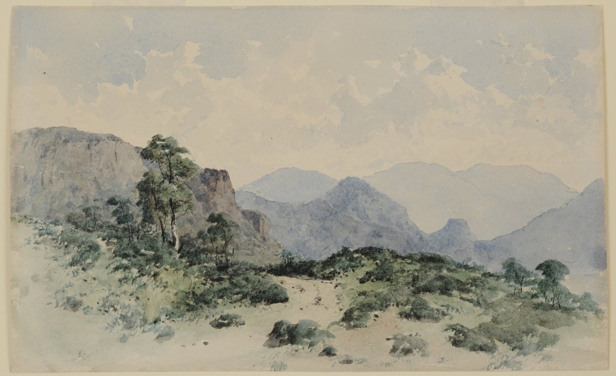 ليك ديستريكت فيلس ، بوروديل ، 1840-58 (مرحاض على ورق) بواسطة وليام جيمس بلاكلوك