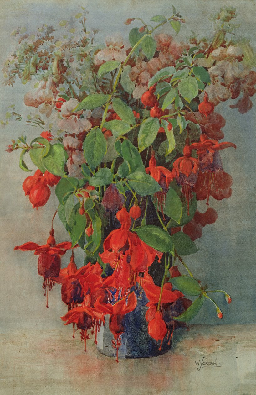 Fushia و Snapdragon في مزهرية (قلم رصاص ومرحاض) بواسطة وليام جوردان