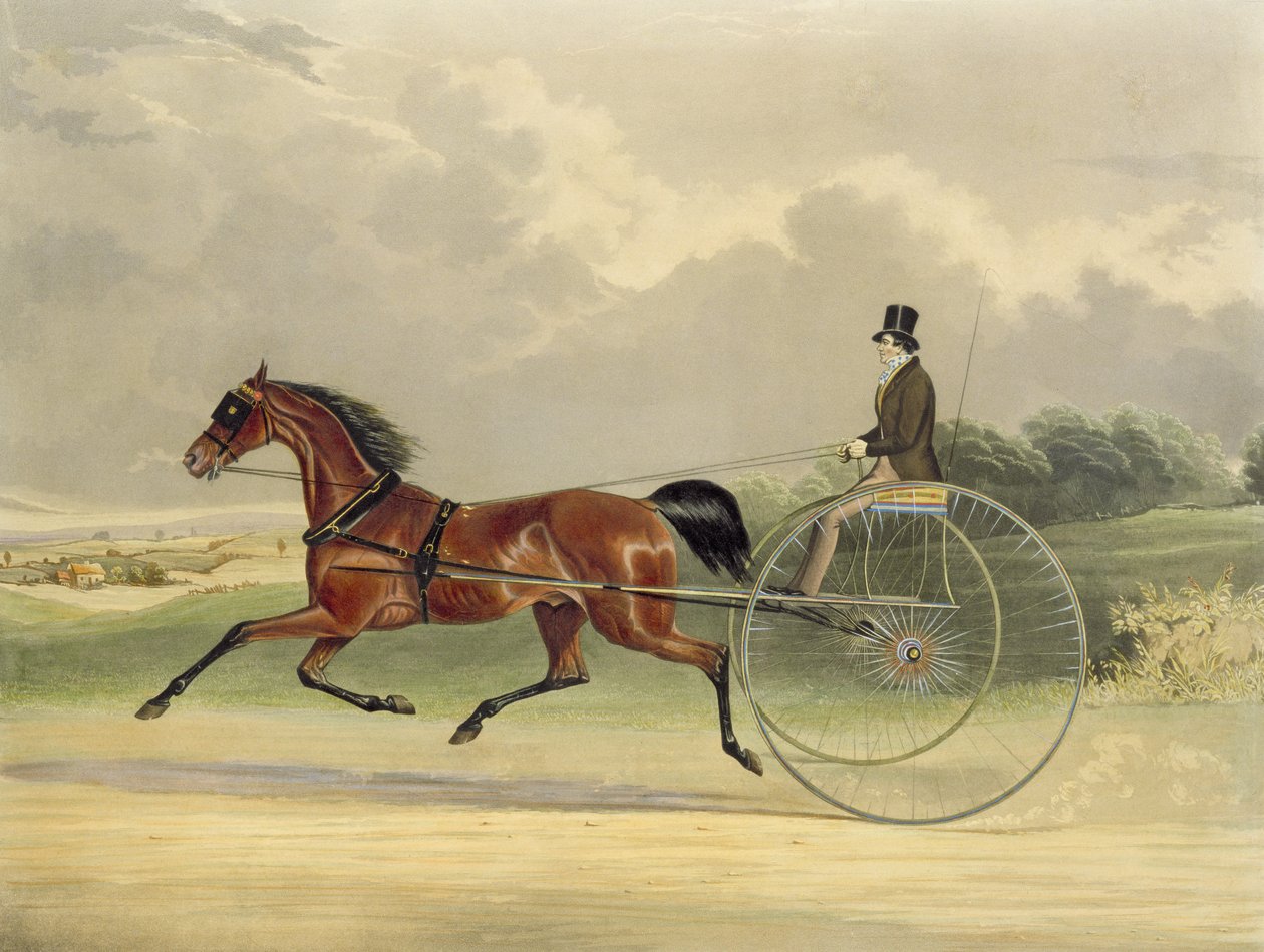 اللورد ويليام ، منقوش بواسطة جي آر ماكريل (fl.1845) ، 1845 (نقش الألوان) بواسطة وليام جوزيف شاير