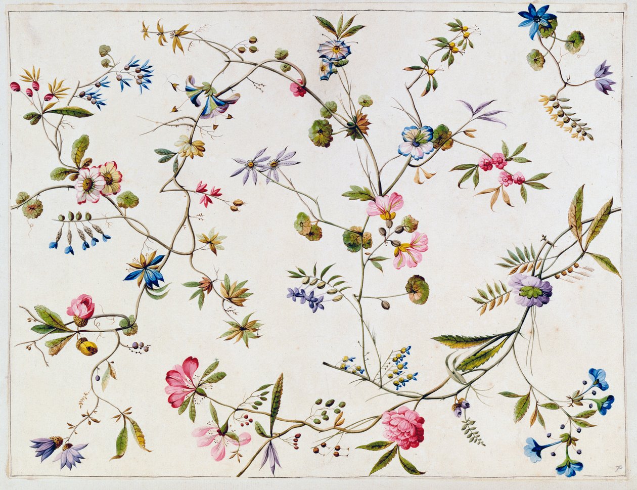 تصميم المنسوجات ، ج 1782-92 بواسطة وليام كيلبورن