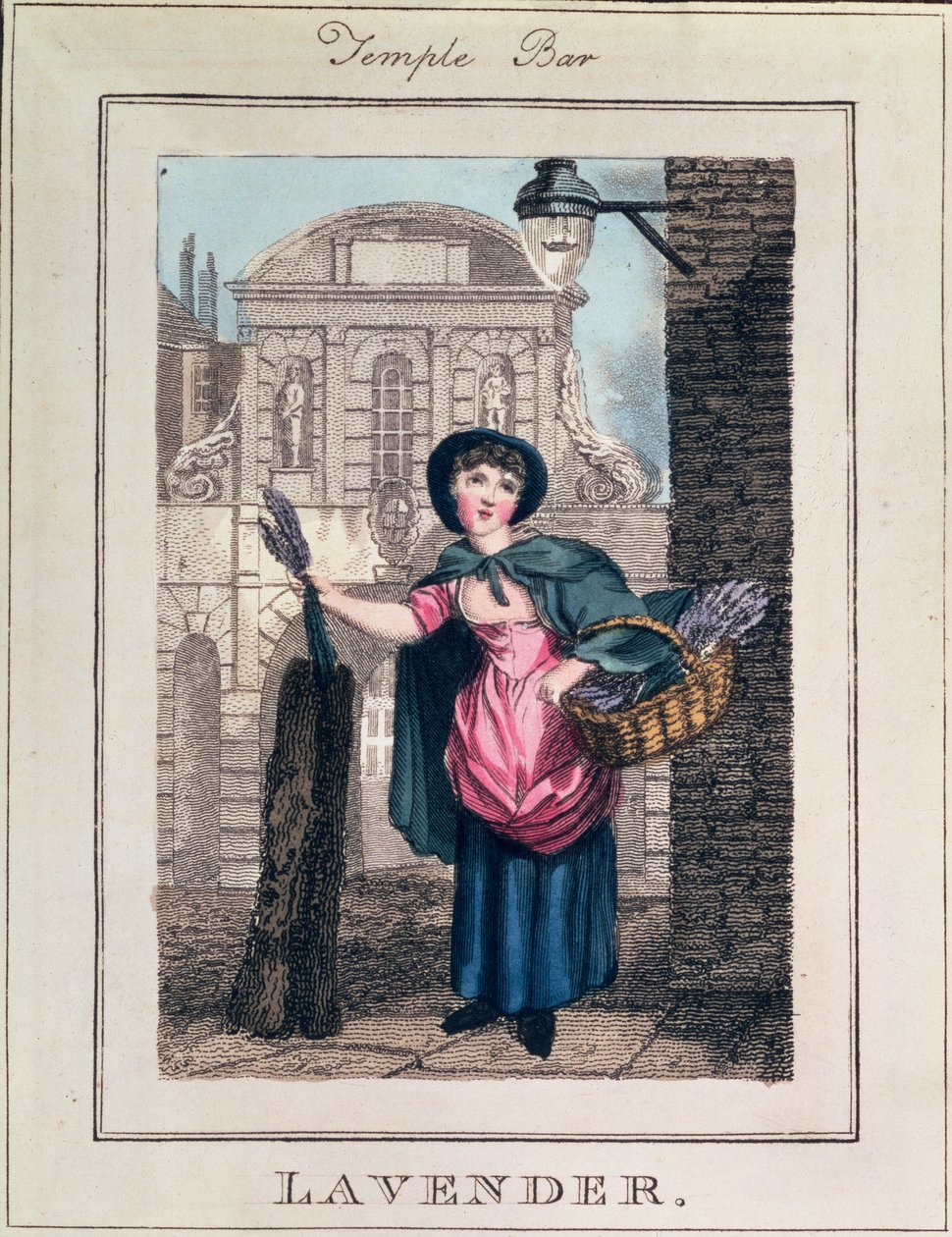 لافندر ، تمبل بار ، من "صرخات لندن" ، حانة. بقلم ريتشارد فيليبس (1778-1851) 1804 بواسطة وليام مارشال كريج