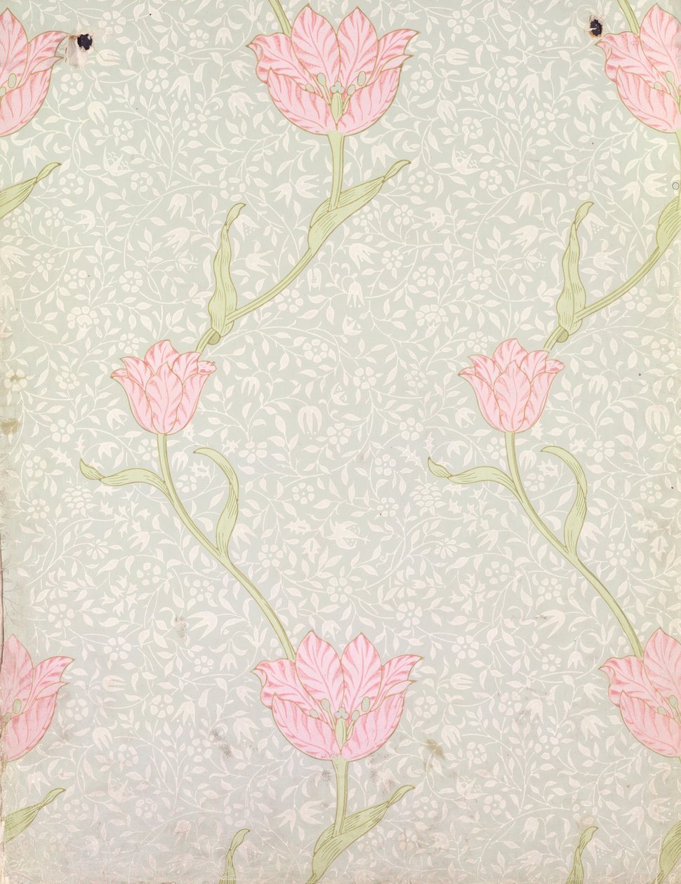 تصميم خلفية `` Garden Tulip &39;&39; ، 1885 بواسطة وليام موريس