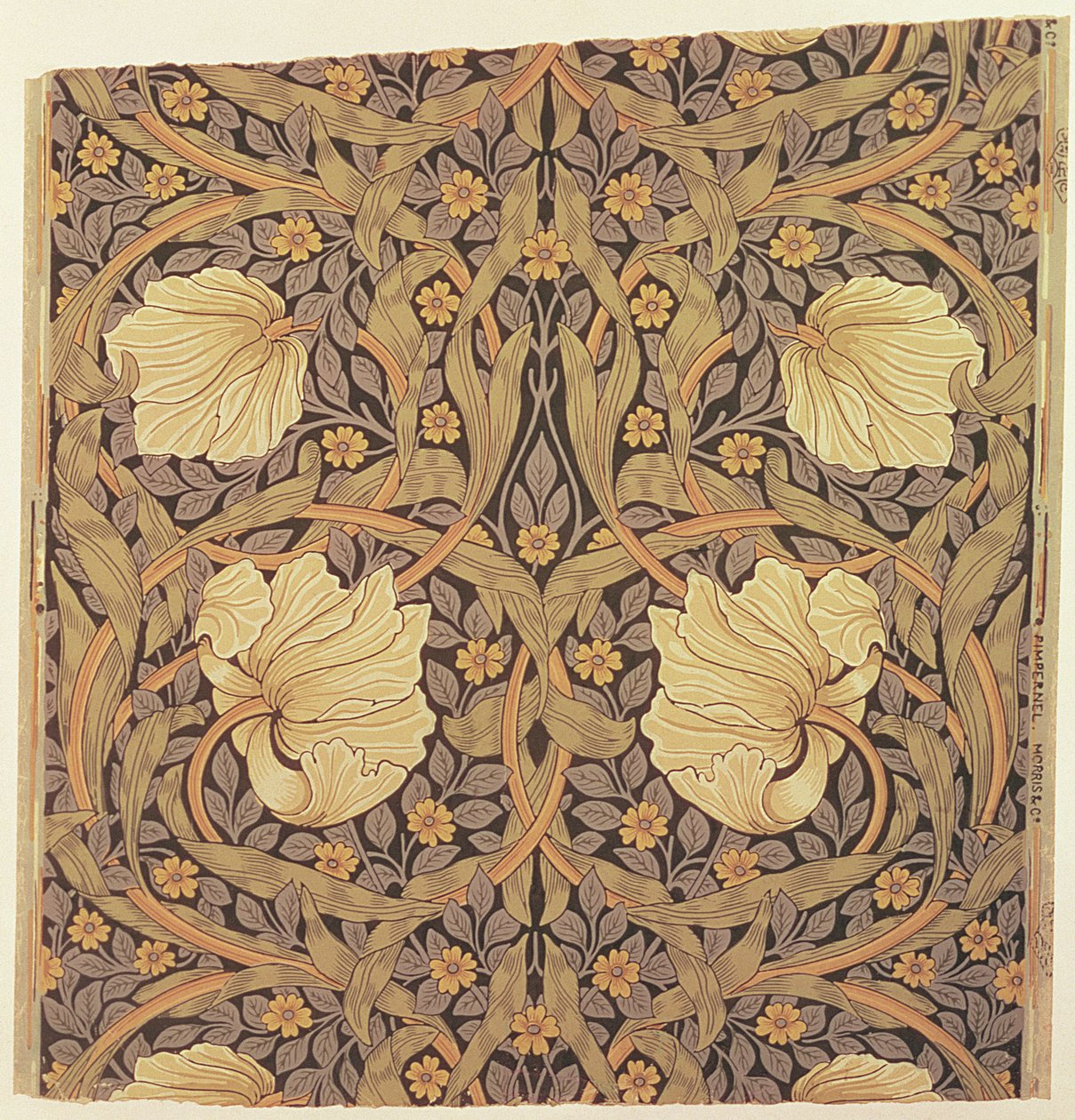 تصميم خلفية `` Pimpernel &39;&39; ، 1876 بواسطة وليام موريس