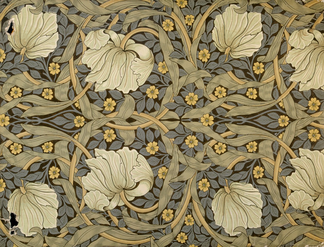 بيمبرنيل ، تصميم لورق الحائط ، 1876 بواسطة وليام موريس