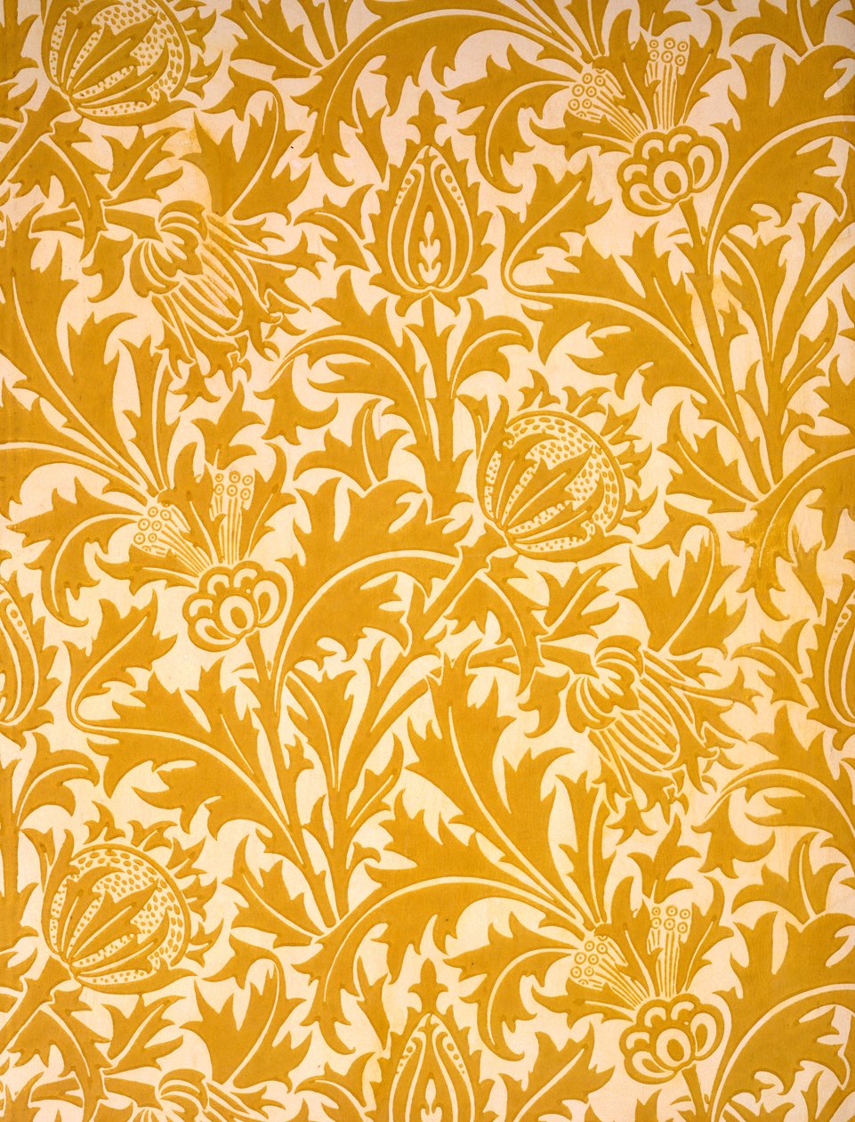 تصميم خلفيات "Thistle" ، أواخر القرن التاسع عشر (طباعة لوح خشبي ملون على الورق) بواسطة وليام موريس