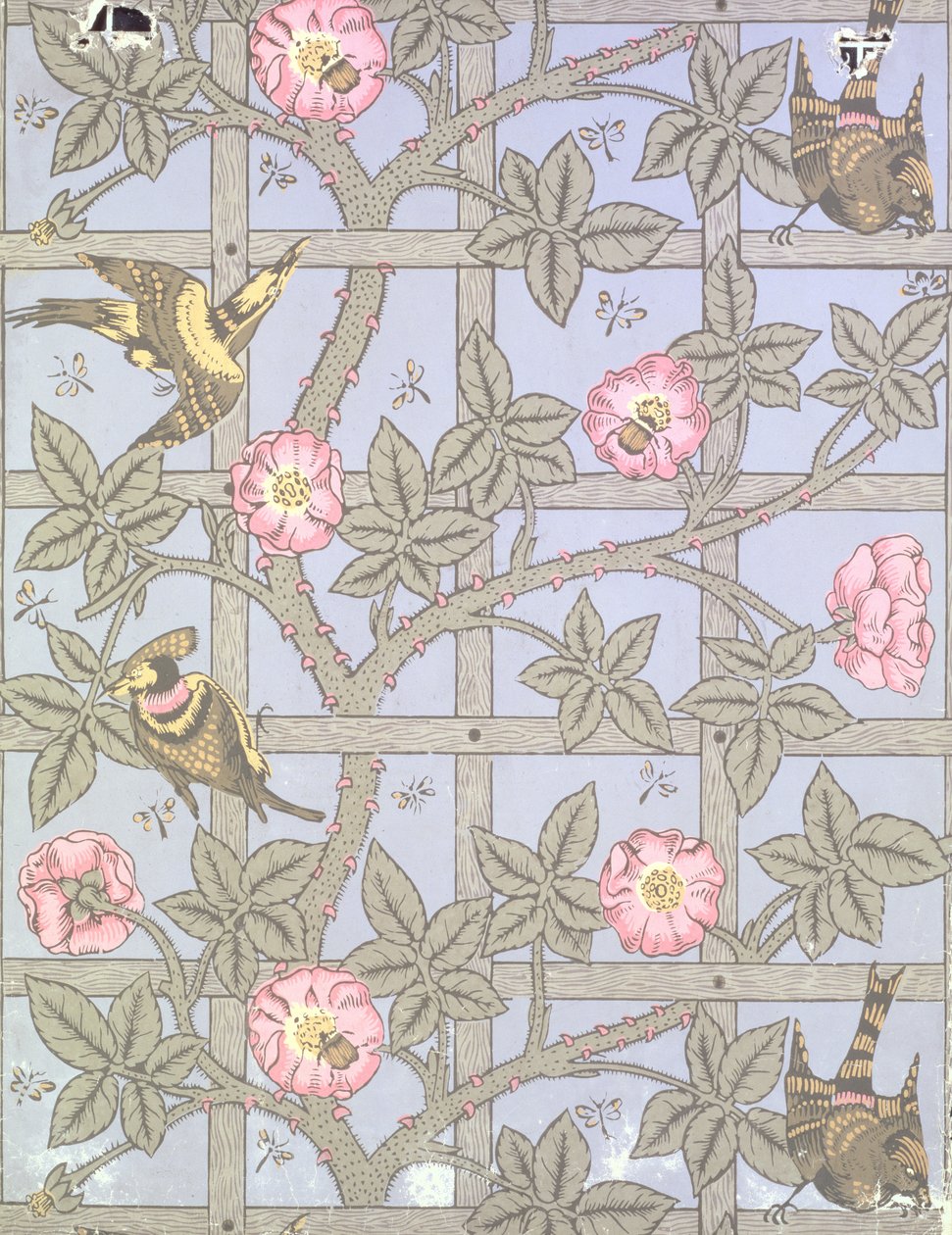 تصميم خلفية `` Trellis &39;&39; ، 1864 بواسطة وليام موريس