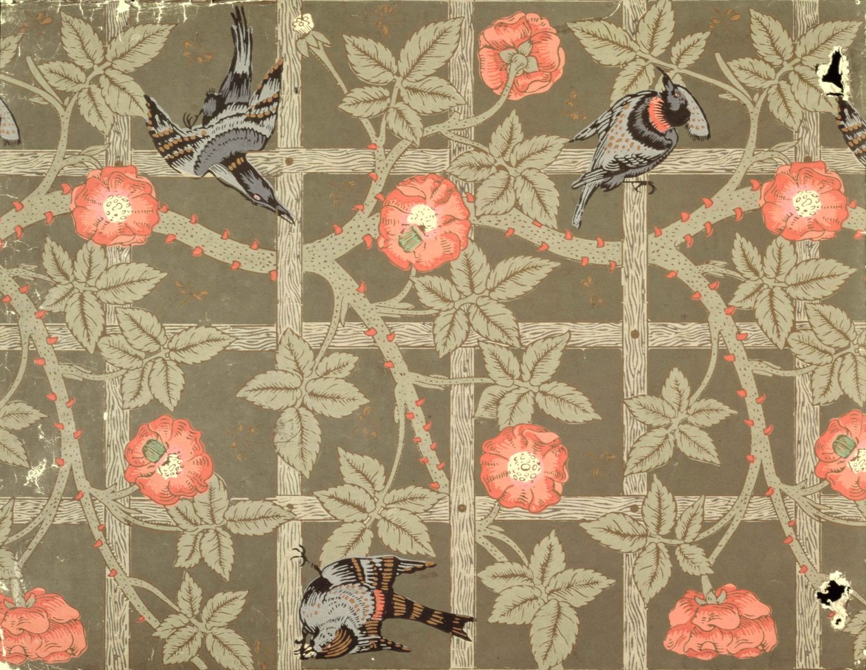 تصميم خلفية Trellis مع خلفية خضراء زجاجة ، 1864 بواسطة وليام موريس
