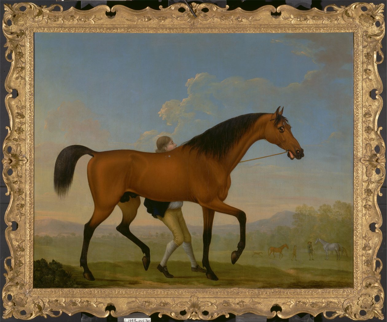 دوق Ancasters Bay Stallion ، فارغ ، يمشي نحو فرس بواسطة وليام شو