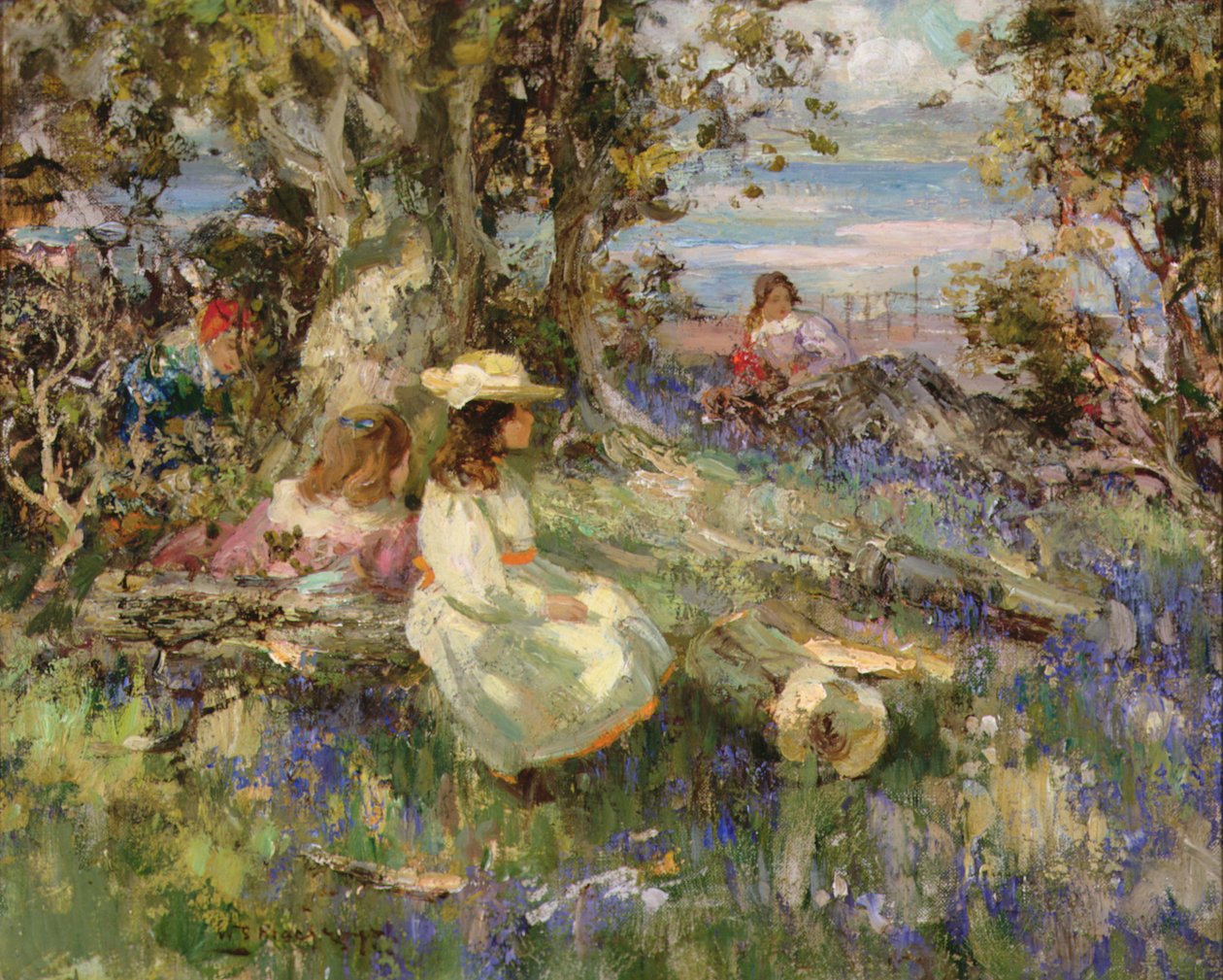 Bluebell Wood by the Sea ، جالواي بواسطة وليام ستيوارت ماكجورج
