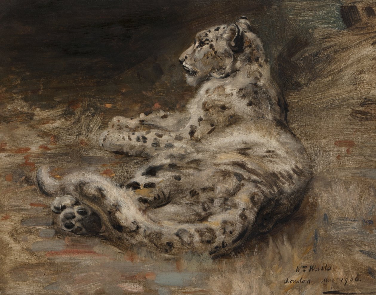 ليوبارد ، 1906 بواسطة وليام والز