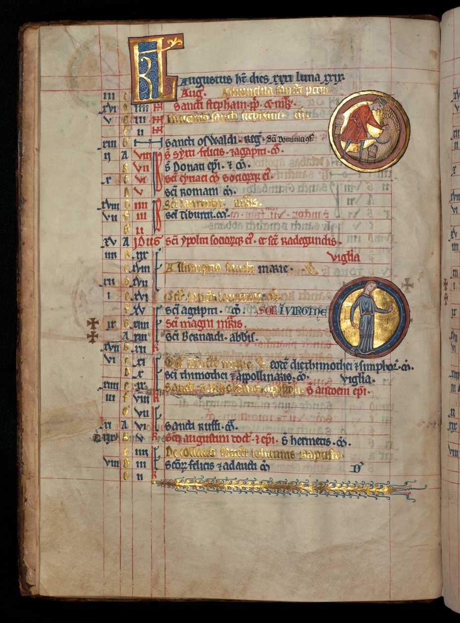 السيدة 322 f.4v ، أغسطس ، رجل يقطع الذرة ، رسم توضيحي من "مزامير De Brailes" ، ج .1250 بواسطة وليام دي برايلز