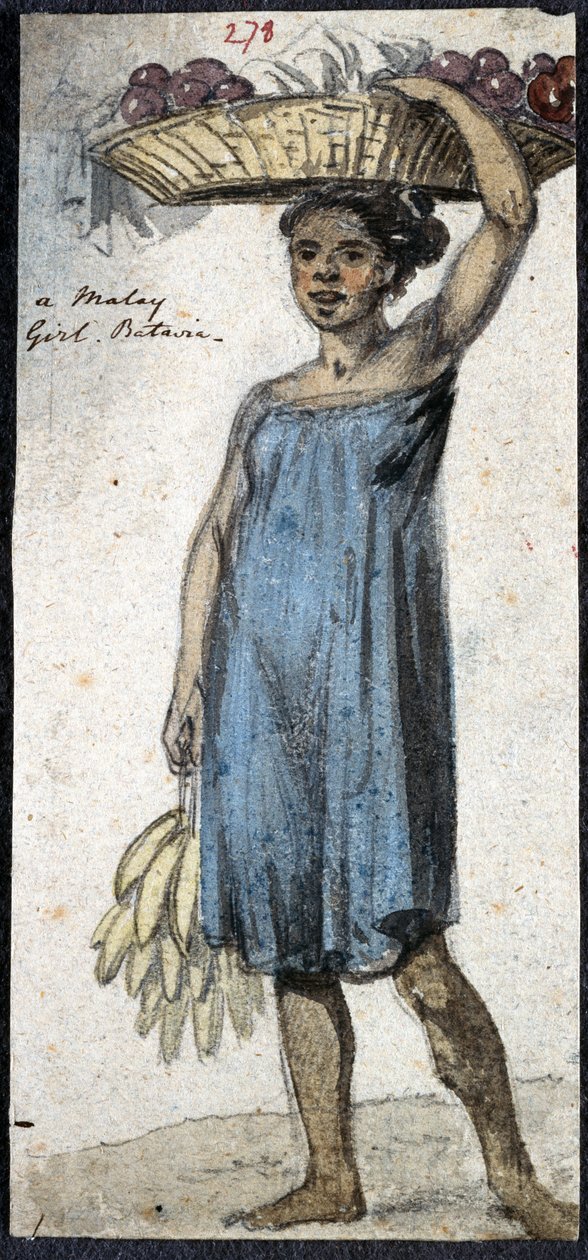 ويسترن ديجيتال 961 f.278 بواسطة وليام الكسندر