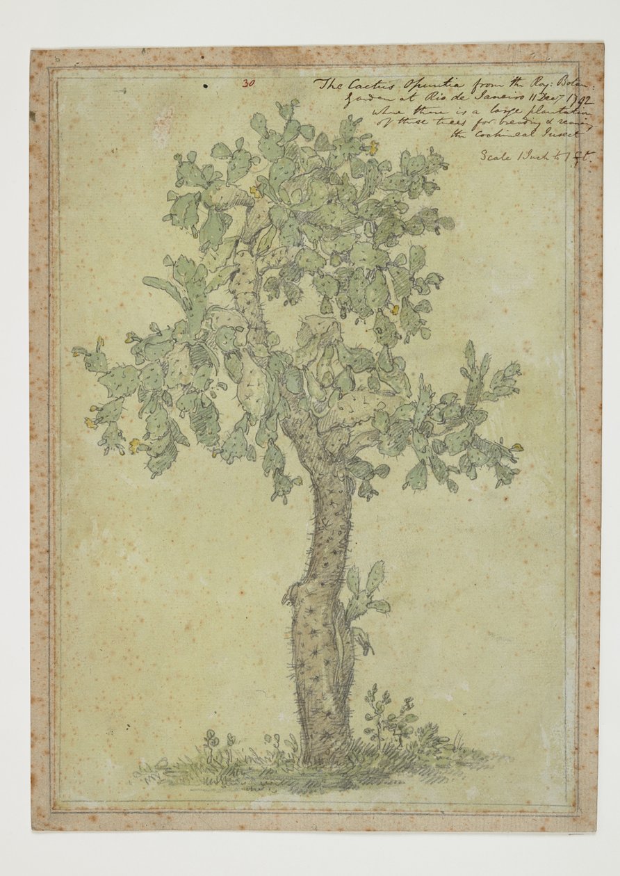 ويسترن ديجيتال 961 f.30 بواسطة وليام الكسندر