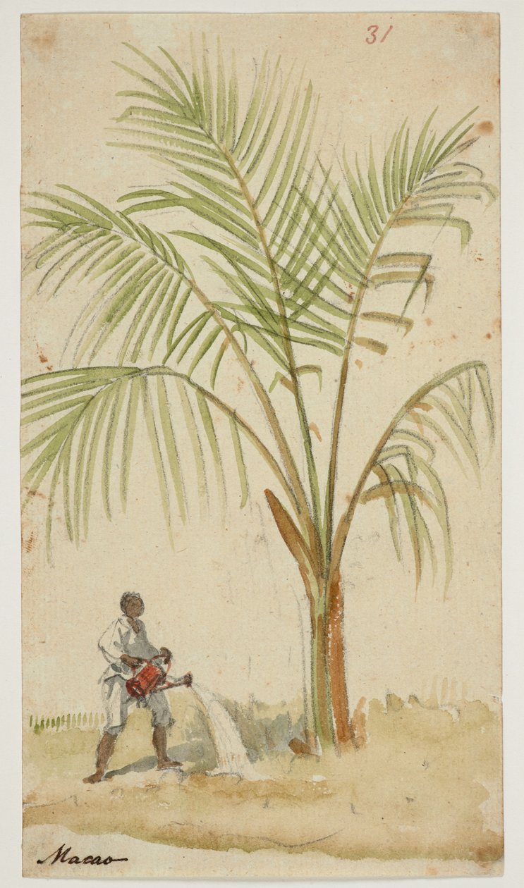 ويسترن ديجيتال 961 f.31 بواسطة وليام الكسندر