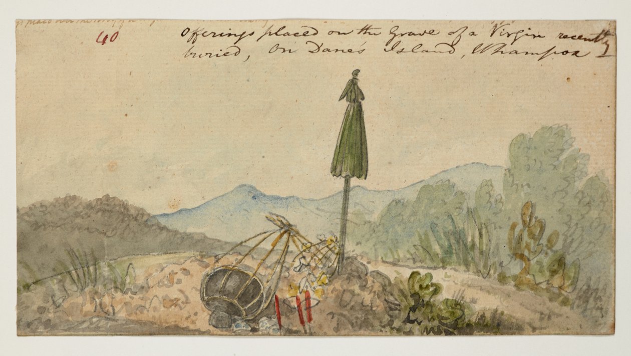 ويسترن ديجيتال 961 f.40 بواسطة وليام الكسندر
