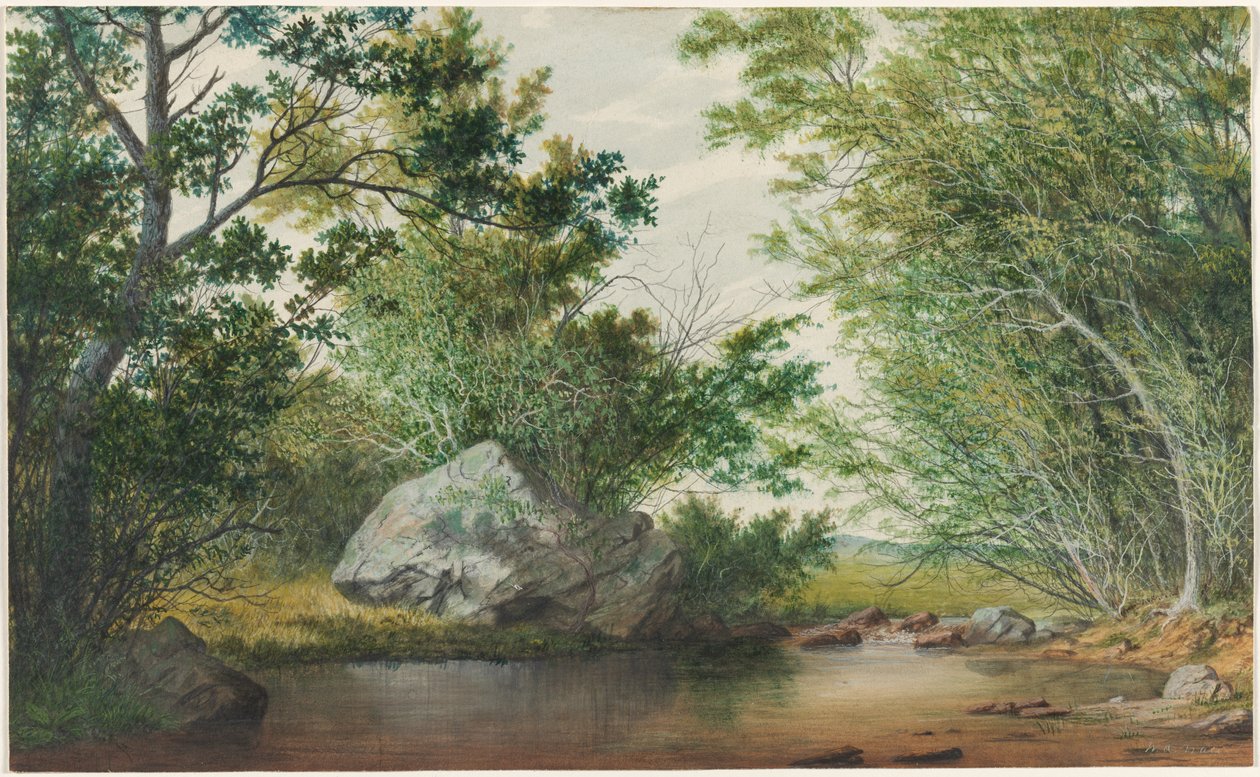 المناظر الطبيعية مع تيار المشجرة وبولدر ، ج. 1880. بواسطة وليام ألين وول