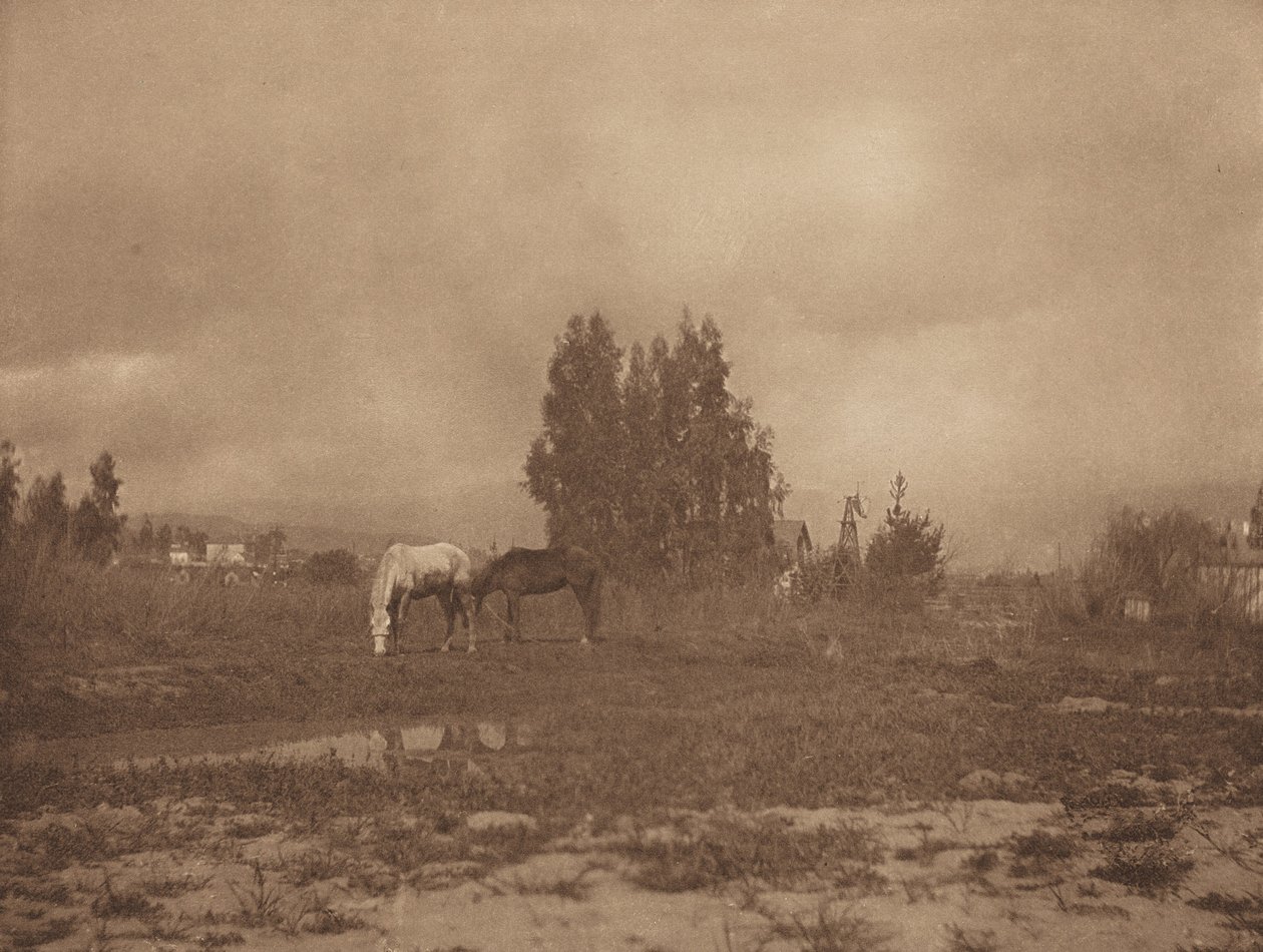 منظر باسادينا ، 1899. بواسطة وليام بي بوست