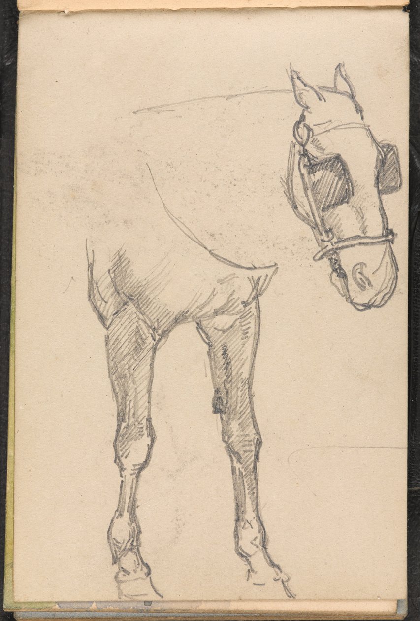 رسم الحصان مع الوامض ، 1879 حوالي عام بواسطة صوف ويليام بارنز