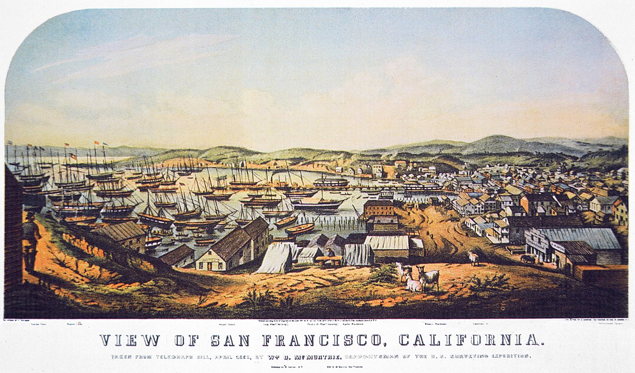 View of San Francisco, California, from Telegraph Hill, April 1850 (colour litho) بواسطة وليام بيرش ماكمرتري