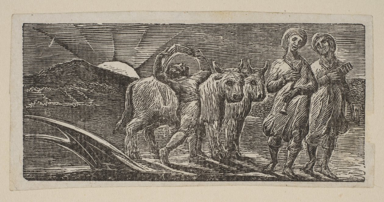صبي يعود بفرح ، مع المحراث والثيران ، من رعاة ثورنتون من فيرجيل ، 1821. بواسطة وليام بليك