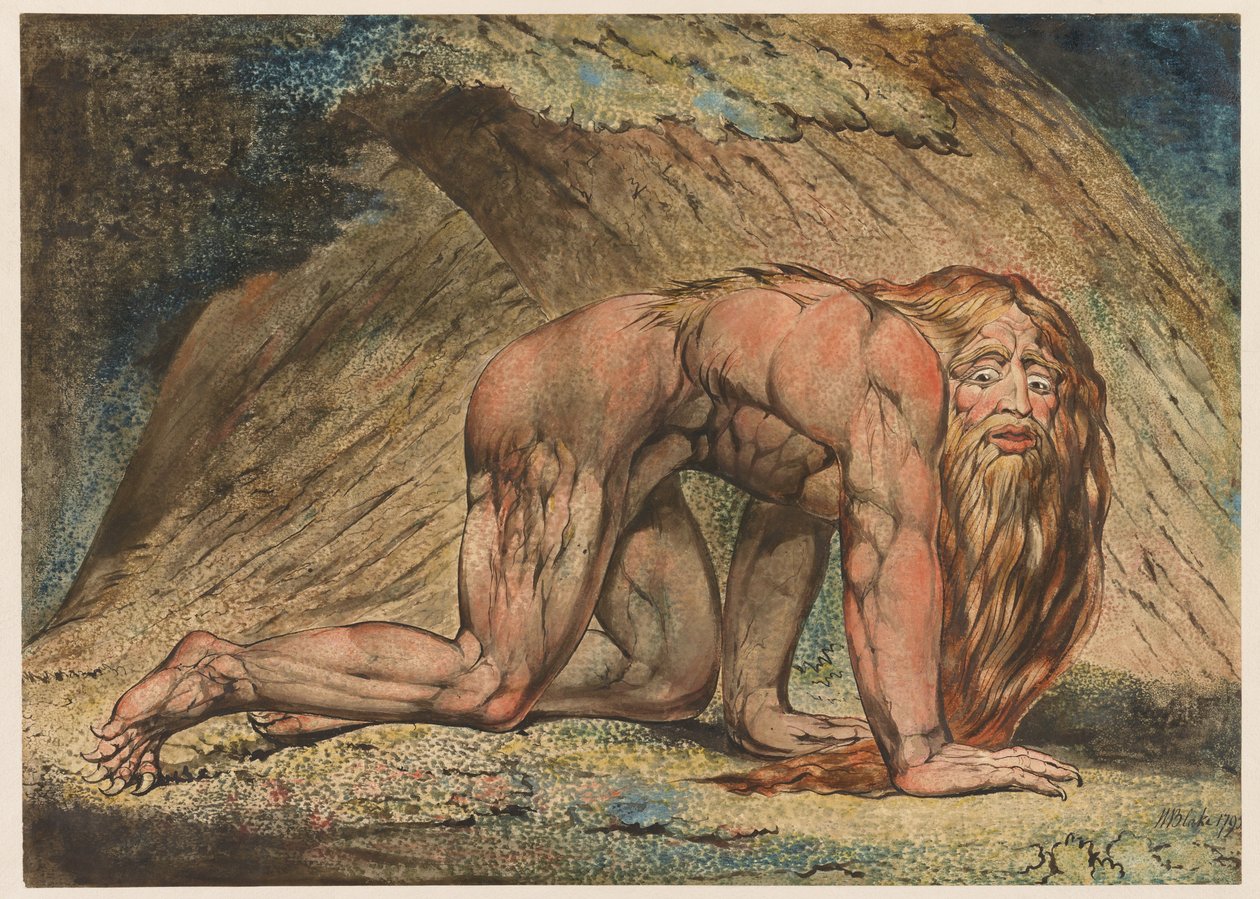 نبوخذنصر ، 1795 (درجة الحرارة والقلم والحبر والمرحاض على الورق) بواسطة وليام بليك
