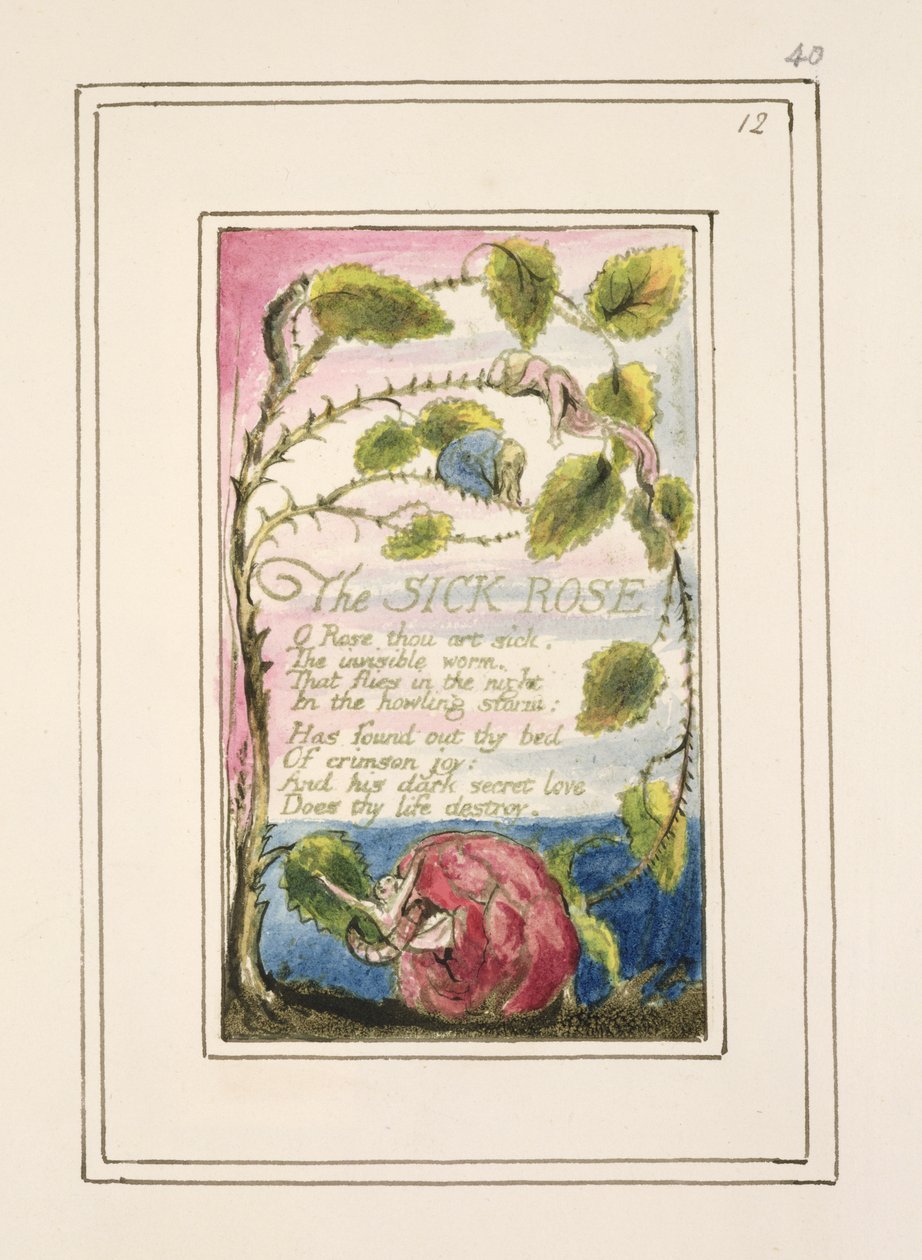 P.124-1950.pt40 The Sick Rose: اللوحة 40 من "أغاني البراءة والخبرة" (نسخة R) c.1802-08 (النقش والحبر والمرحاض) بواسطة وليام بليك