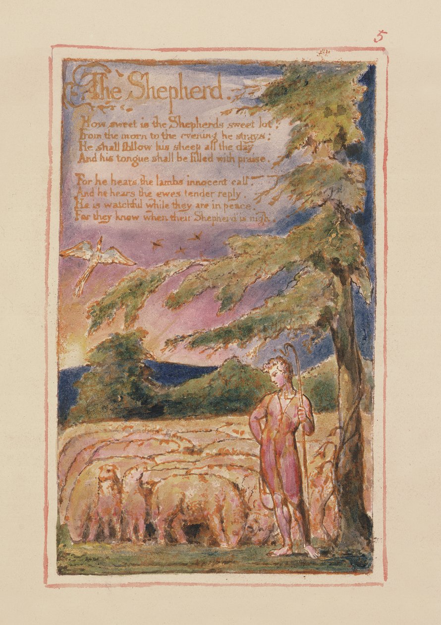 P.125.1950.pt5 الراعي: اللوحة 5 من أغاني البراءة والخبرة (نسخة AA) c.1815-26 (النقش والحبر والمرحاض) بواسطة وليام بليك