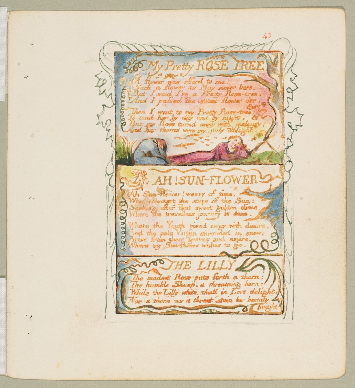 أغاني البراءة والخبرة: My Pretty Rose Tree ، آه! زهرة الشمس ، الزنبق ، كاليفورنيا. 1825. بواسطة وليام بليك