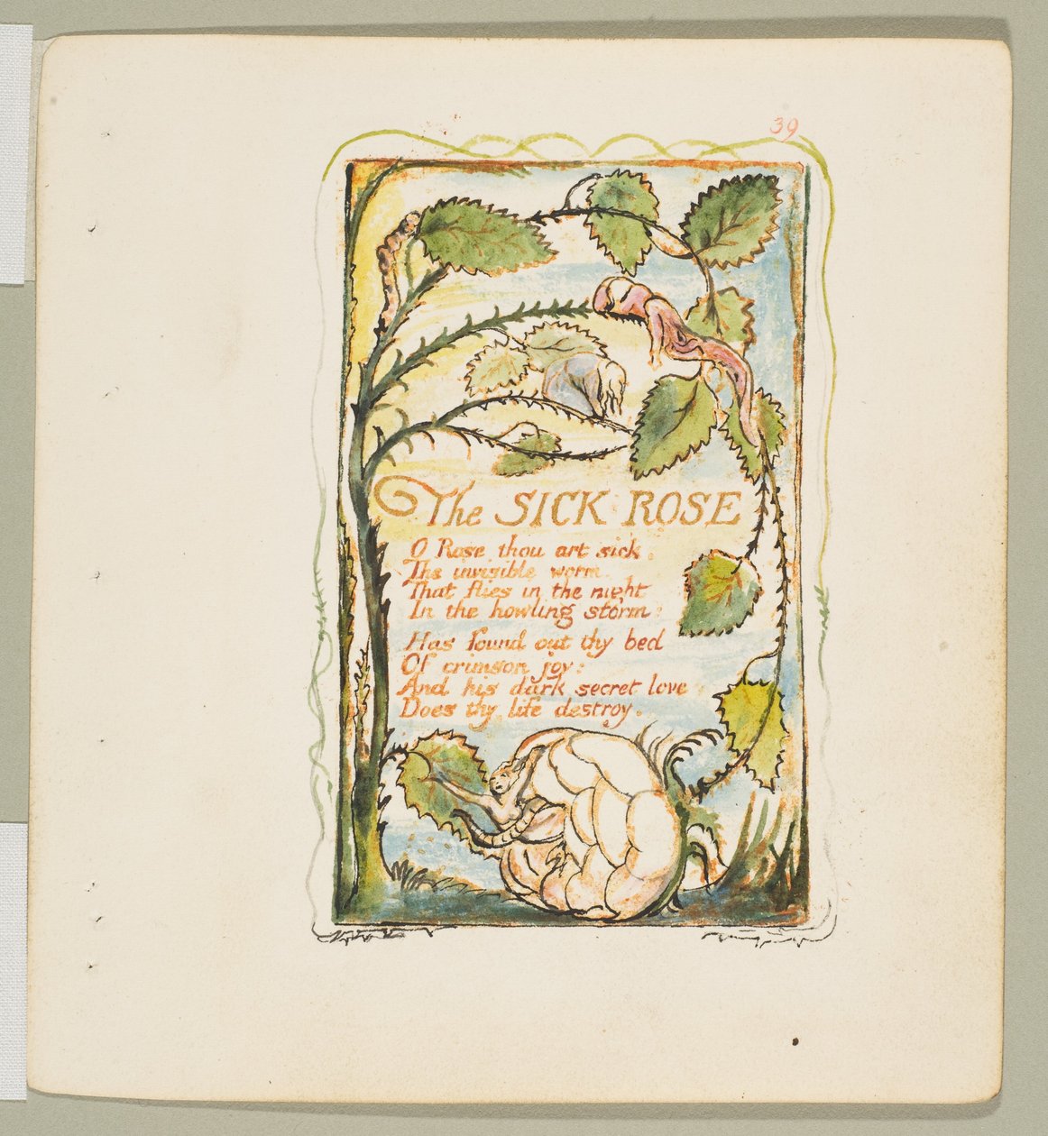 أغاني البراءة والخبرة: The Sick Rose ، كاليفورنيا. 1825. بواسطة وليام بليك