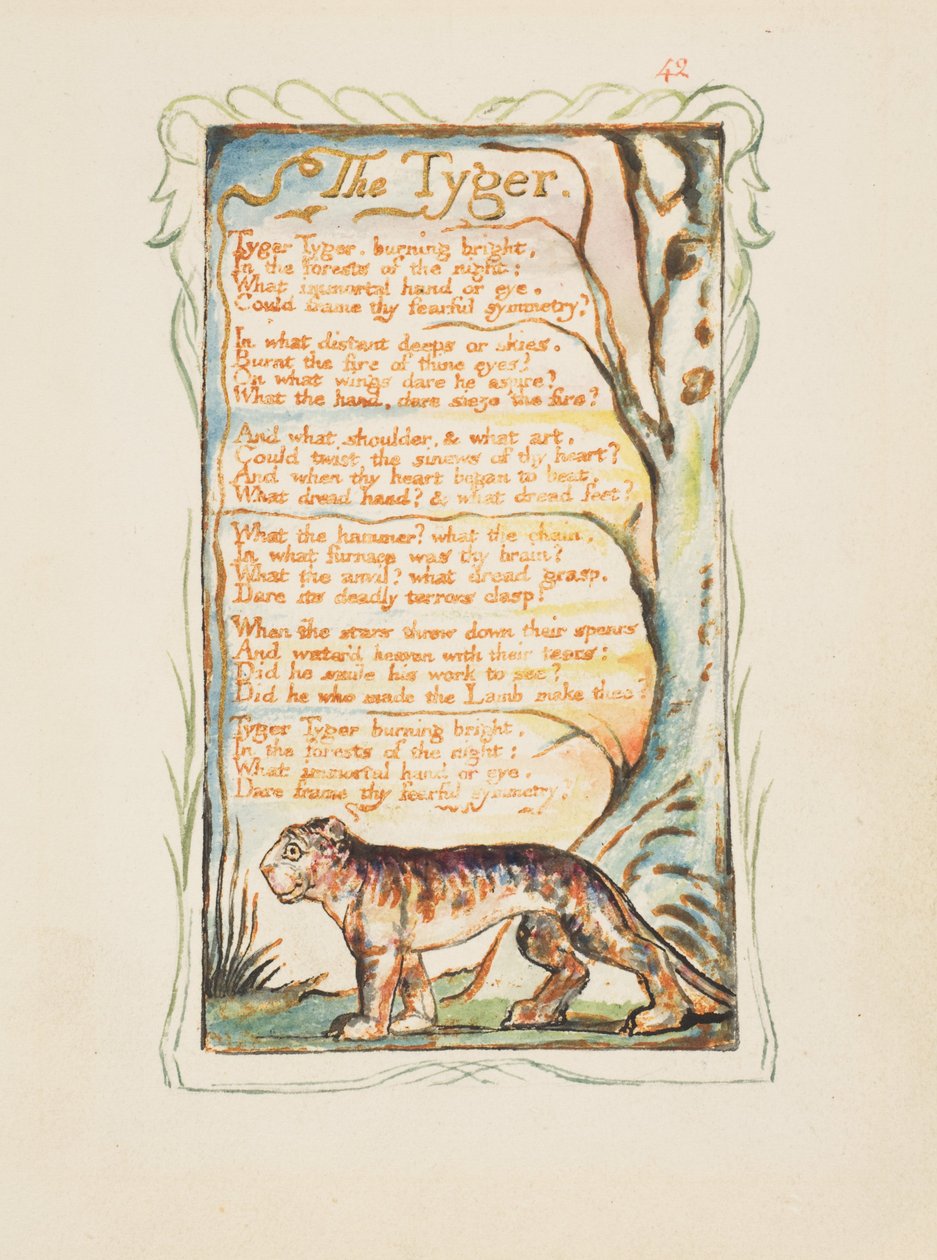 أغاني البراءة والخبرة: The Tyger، c.1825 (نقش الحبر البني باليد بالألوان المائية) بواسطة وليام بليك