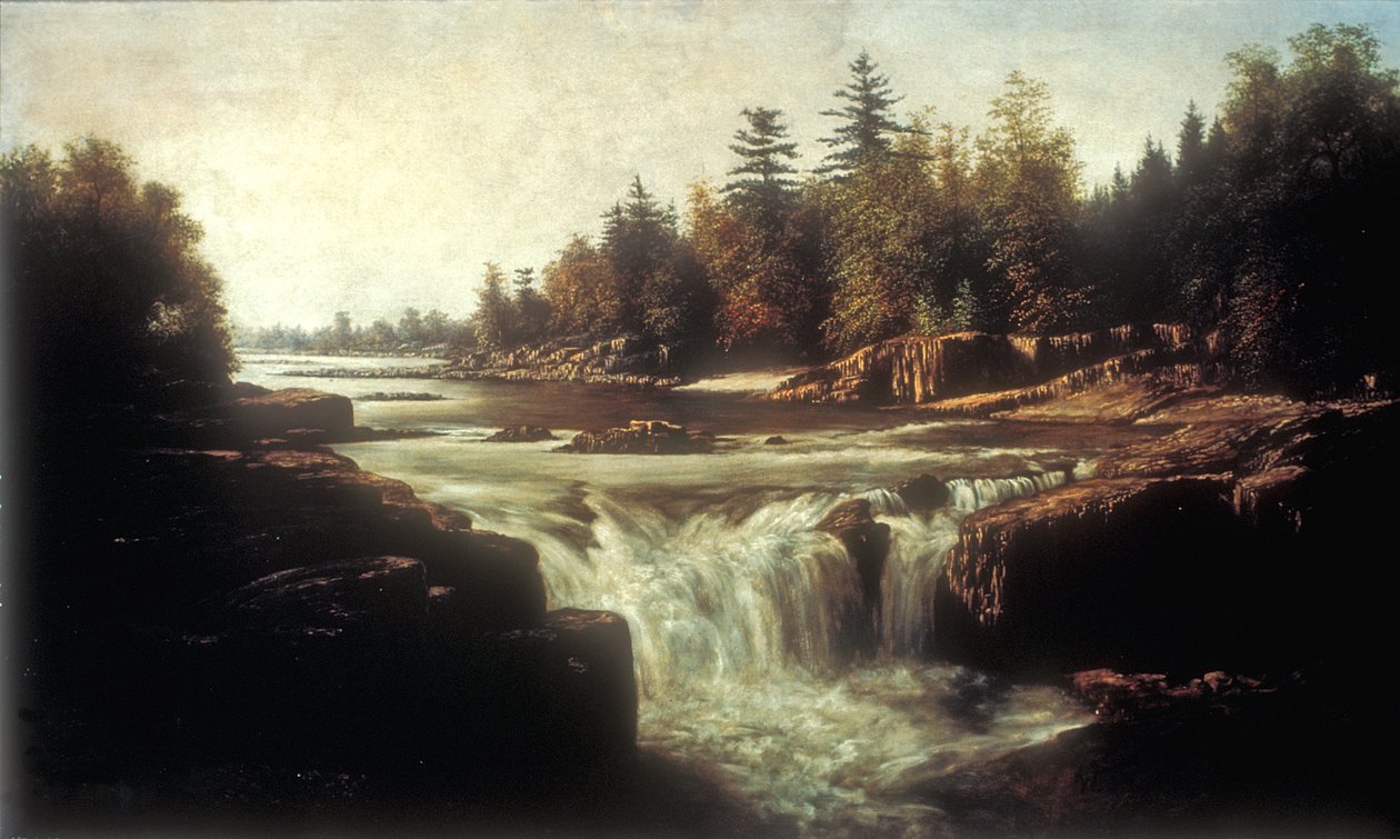 Little Falls of the Passaic River (زيت على قماش على بطانة من الورق المقوى) بواسطة وليام تشارلز أنتوني فريريكس